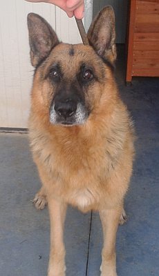 Walter