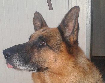 Walter