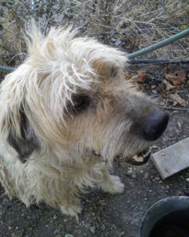 Bilbo