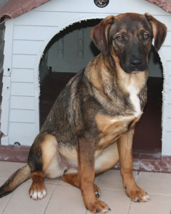 Cleo