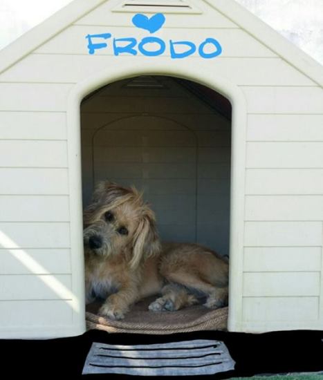 Frodo