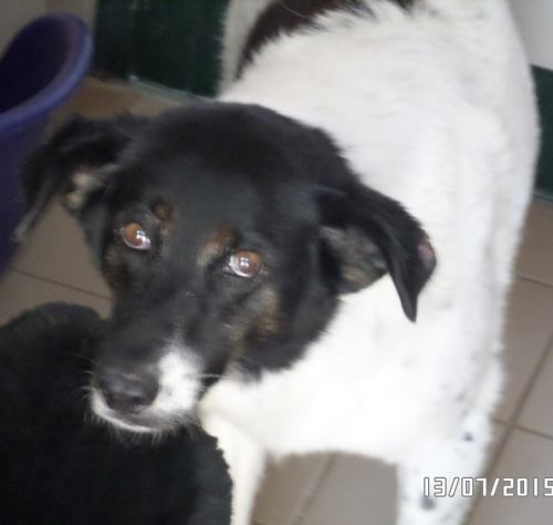 Nena
