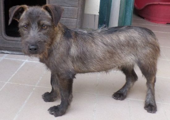 Togo