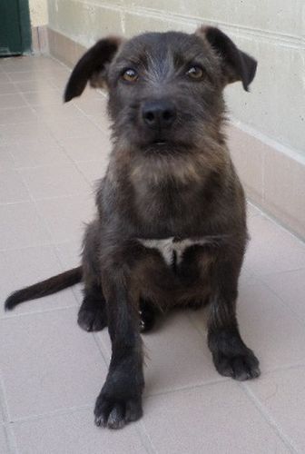 Togo