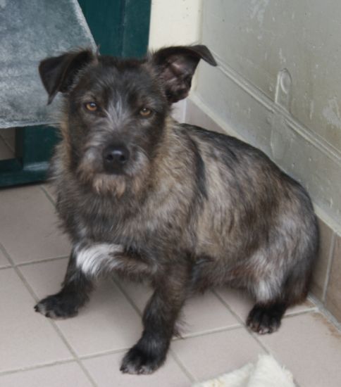 Togo