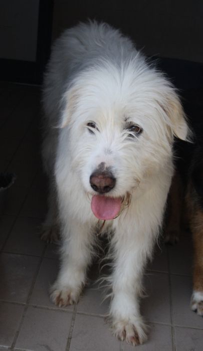 Wilma