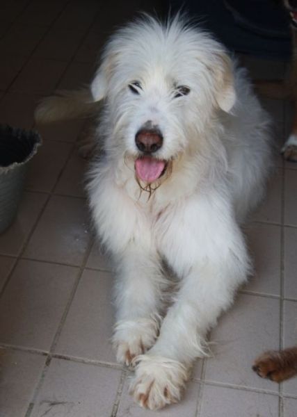 Wilma