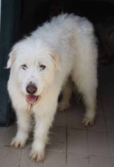 Wilma