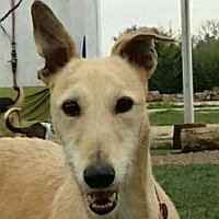 Carmena