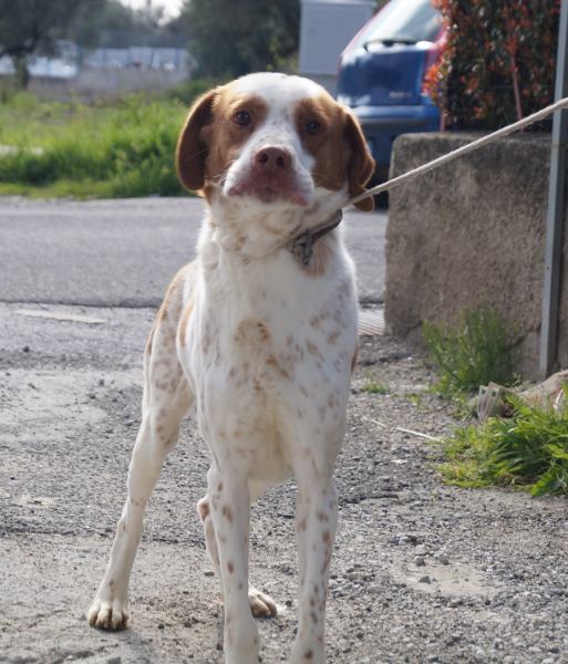 Charlie