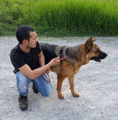 Ciro