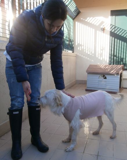 Lucino