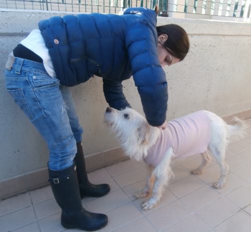 Lucino