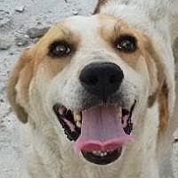 Samy