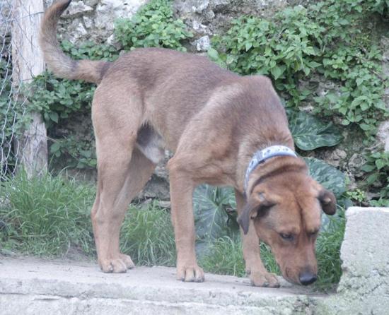 Bayron