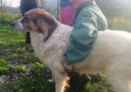 Dalila