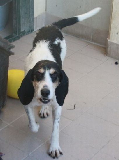 Lulù