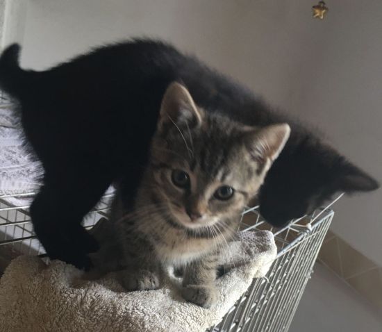 Mats und Emma