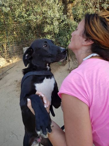 Tayson