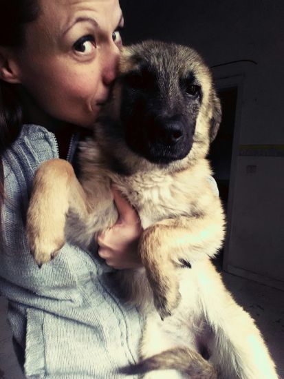 Chicca