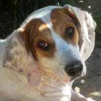 Matilde