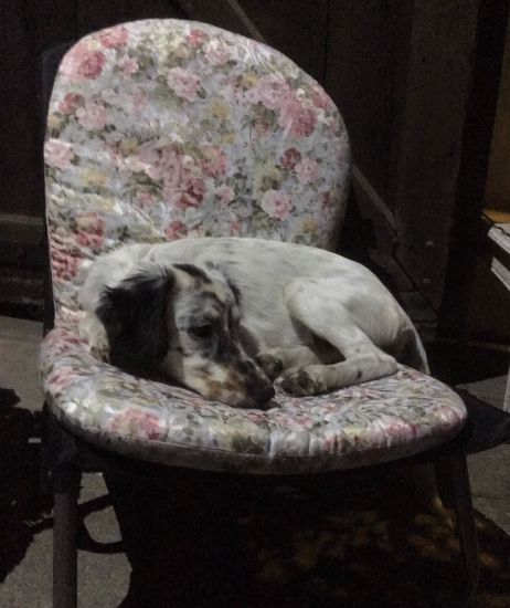 Minnie