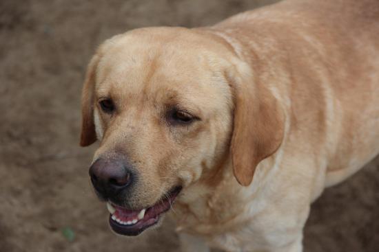 Wilma
