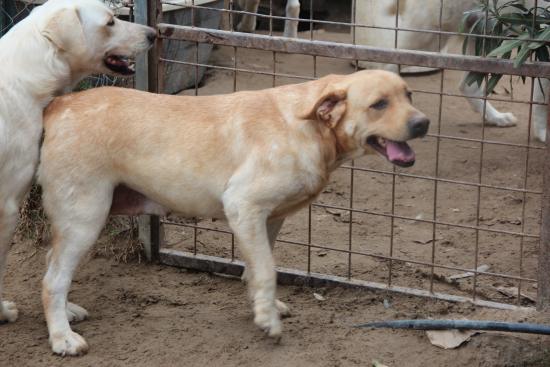 Wilma
