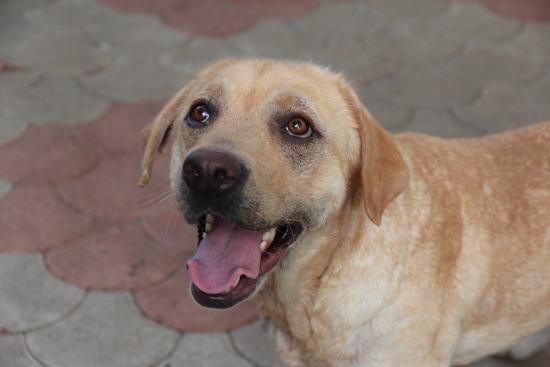 Wilma
