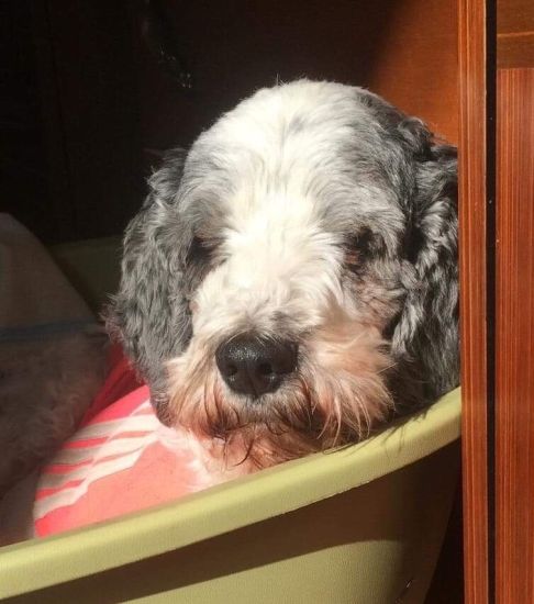 Achille