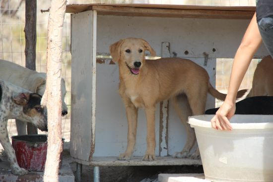 Asia