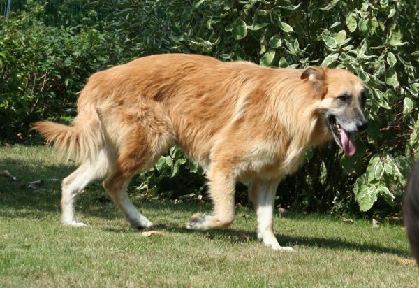 Coda
