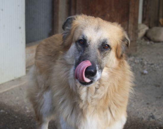Coda