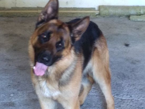 Rudy