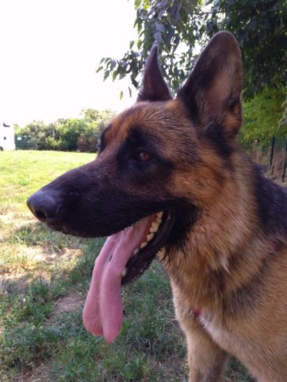 Rudy