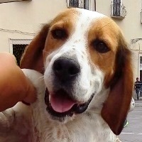 Sebastiano