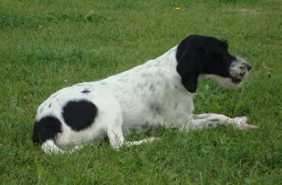 Boris