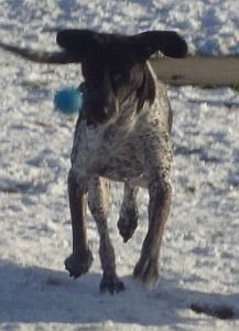 Samson
