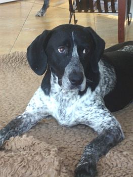 Samson