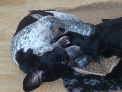 Samson