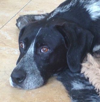 Samson