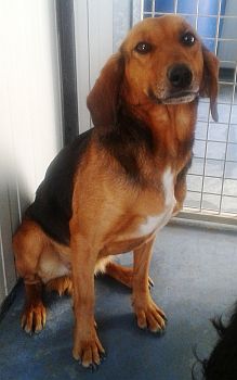 Tosca