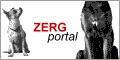Zerg-Portal