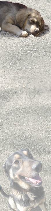 Hintergrund