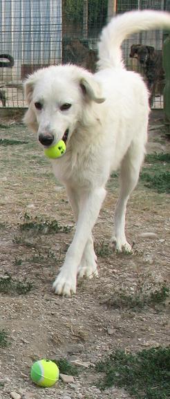 Spielzeug