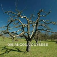Ancona-Odyssee