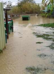 Tierheim unter Wasser