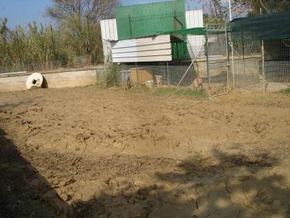 Schlamm