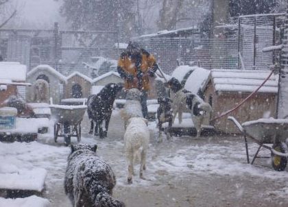 Schneechaos