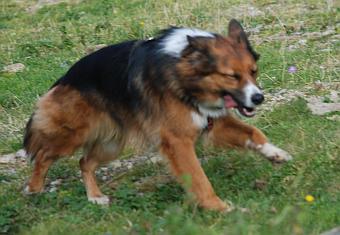 Esther